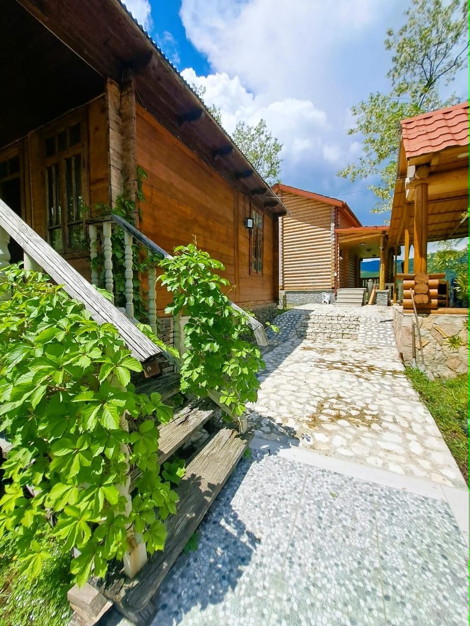 Property building, Garden view