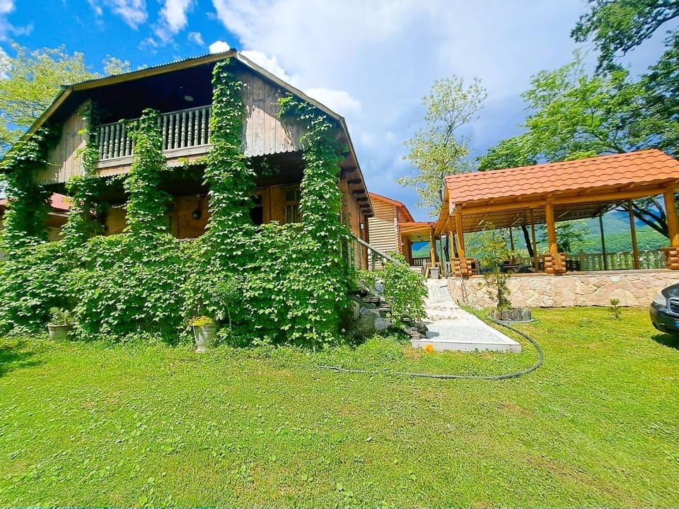 Property building, Natural landscape, Garden, Garden view