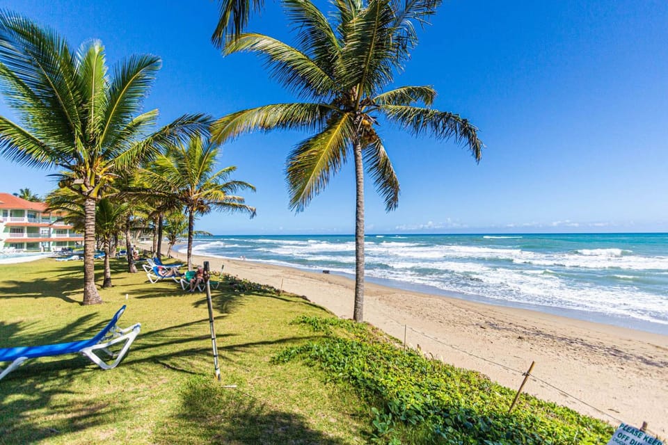 Natural landscape, Summer, Beach