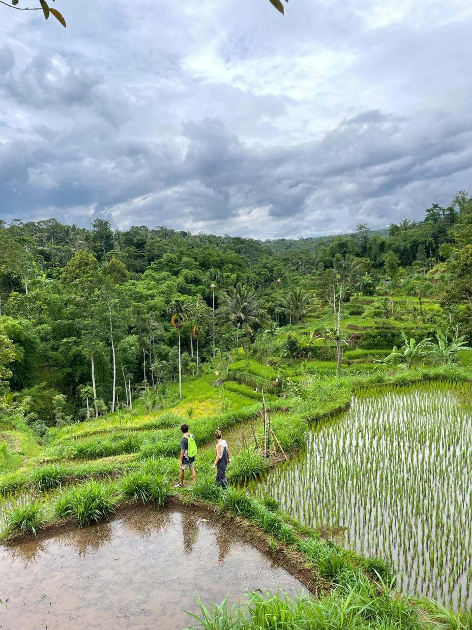 Natural landscape