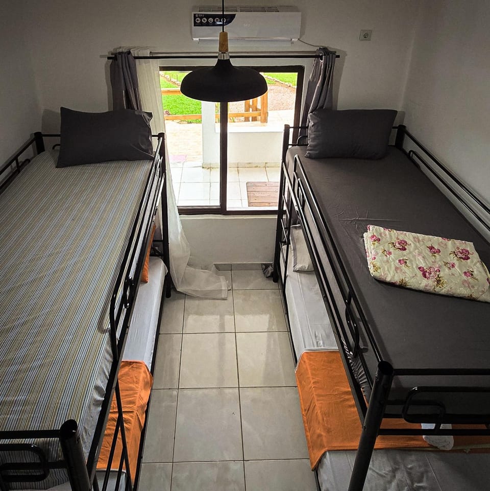 Bed, Photo of the whole room, Bedroom, bunk bed