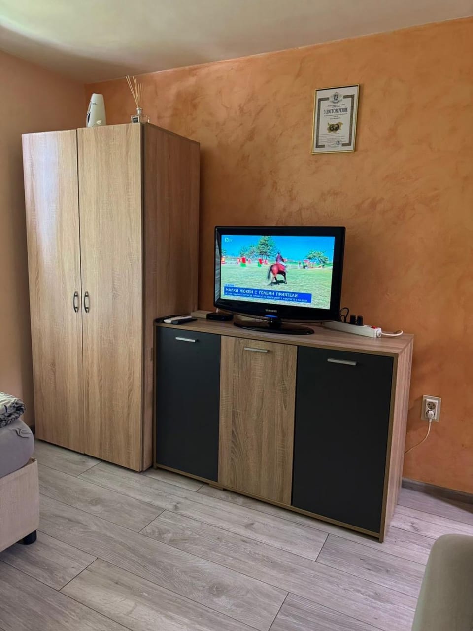 Communal lounge/ TV room, wardrobe
