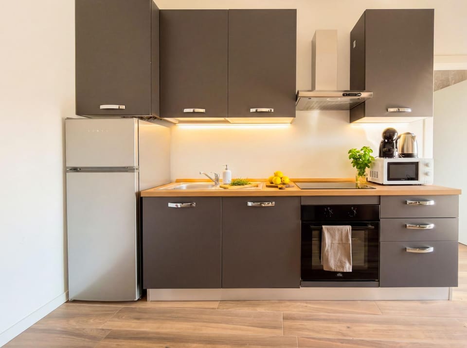 Kitchen or kitchenette, dishwasher, minibar, oven, pet friendly, stove