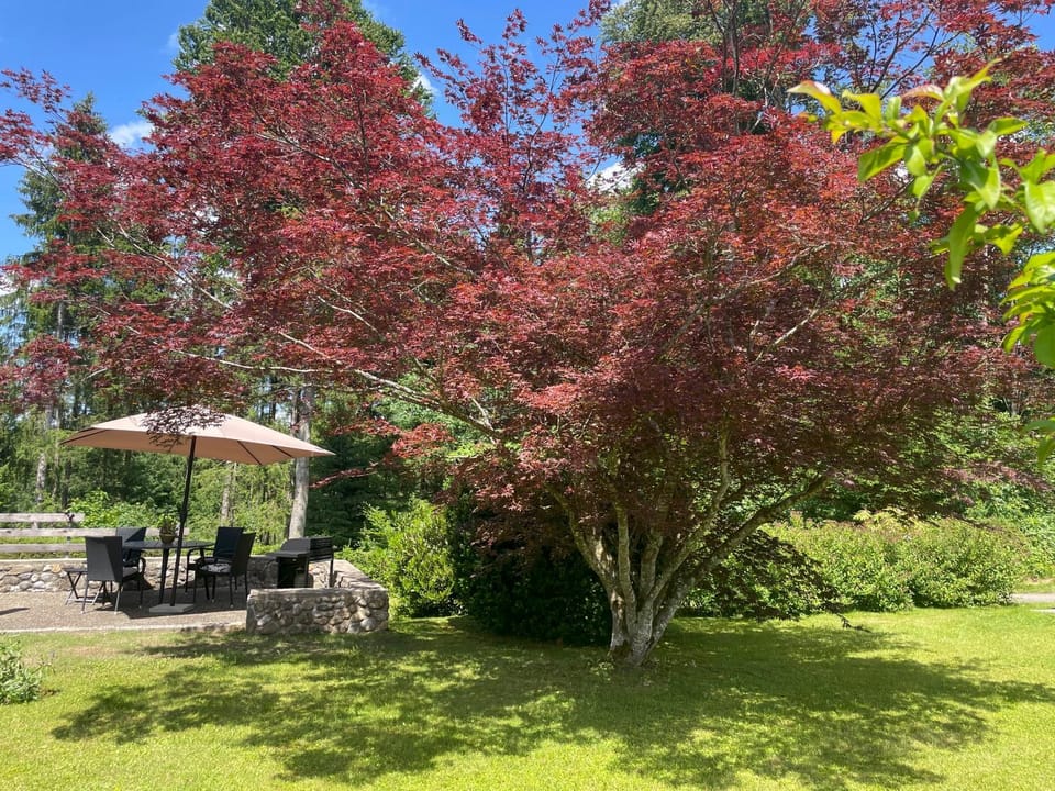 Garden, Garden