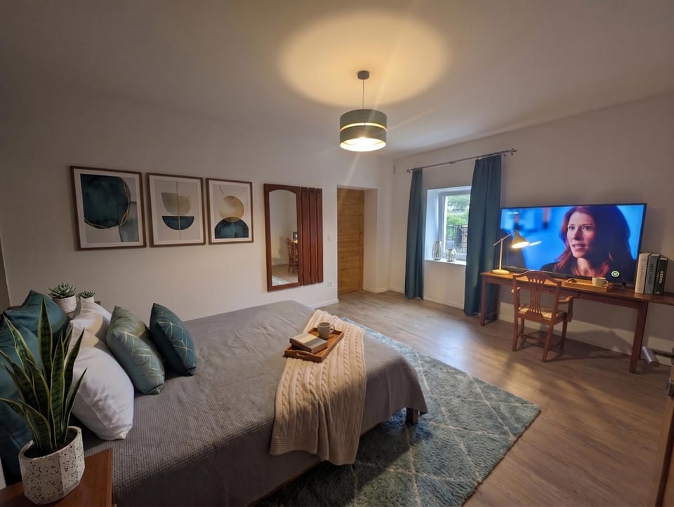 Bed, TV and multimedia, Photo of the whole room