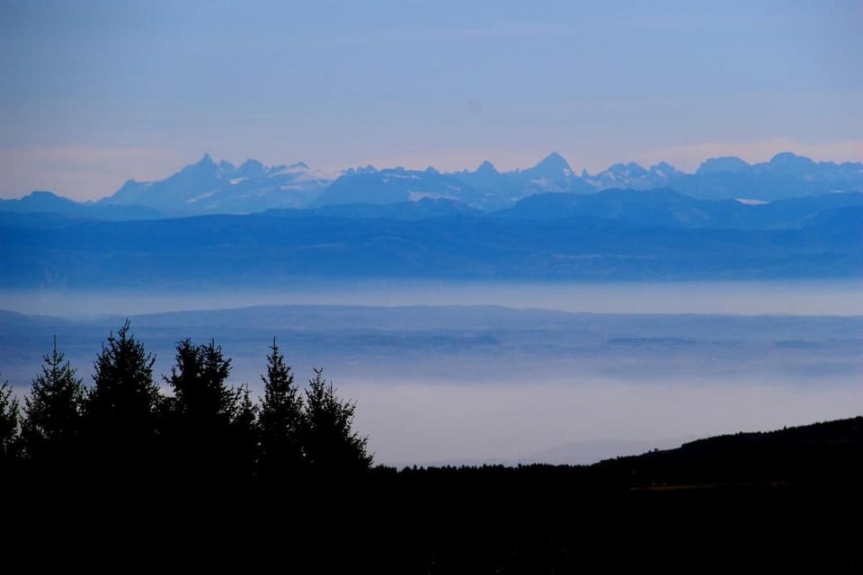 Activities, Winter, Hiking, Cycling, Entertainment