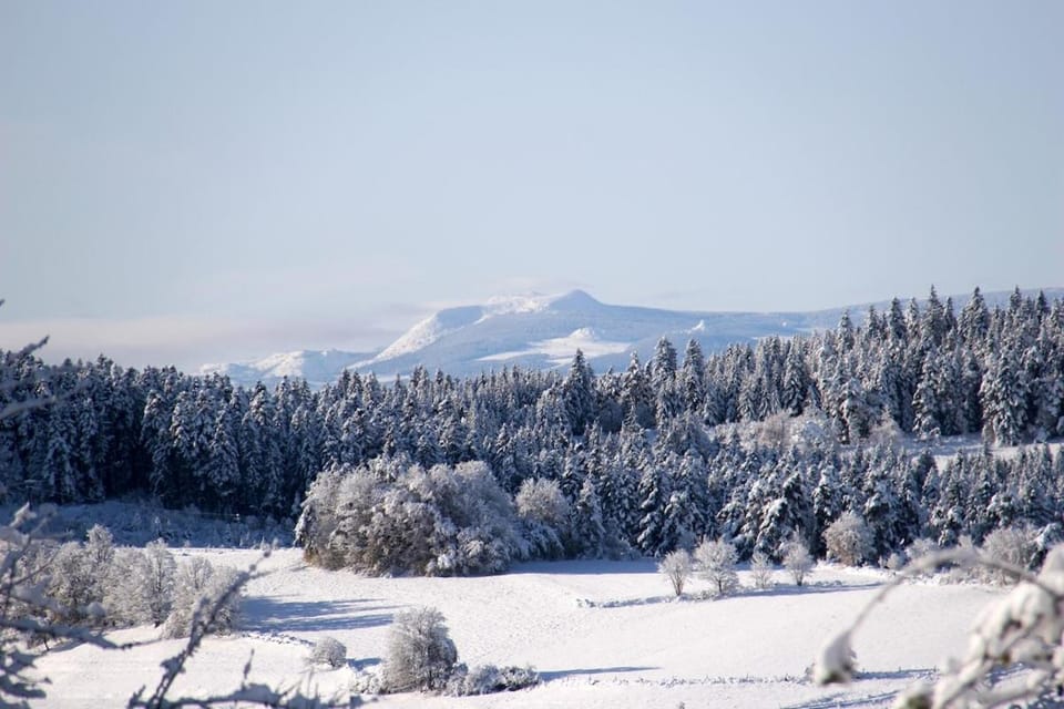 Winter, Hiking, Cycling, Entertainment