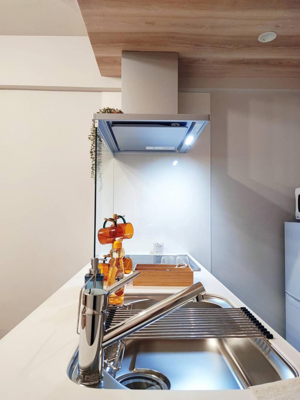 Toyo Yoyoginumi Apartment in Shibuya