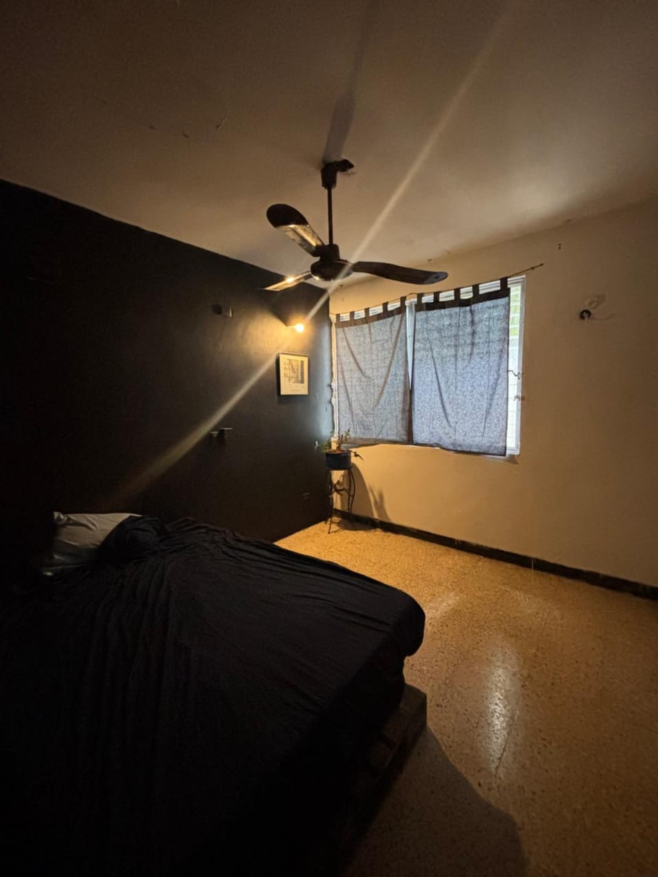 Casa tortuga Vacation rental in San Miguel de Cozumel