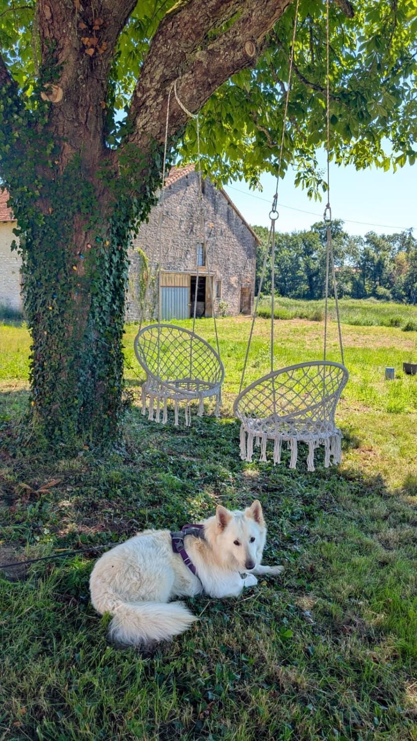 Garden view, Garden view