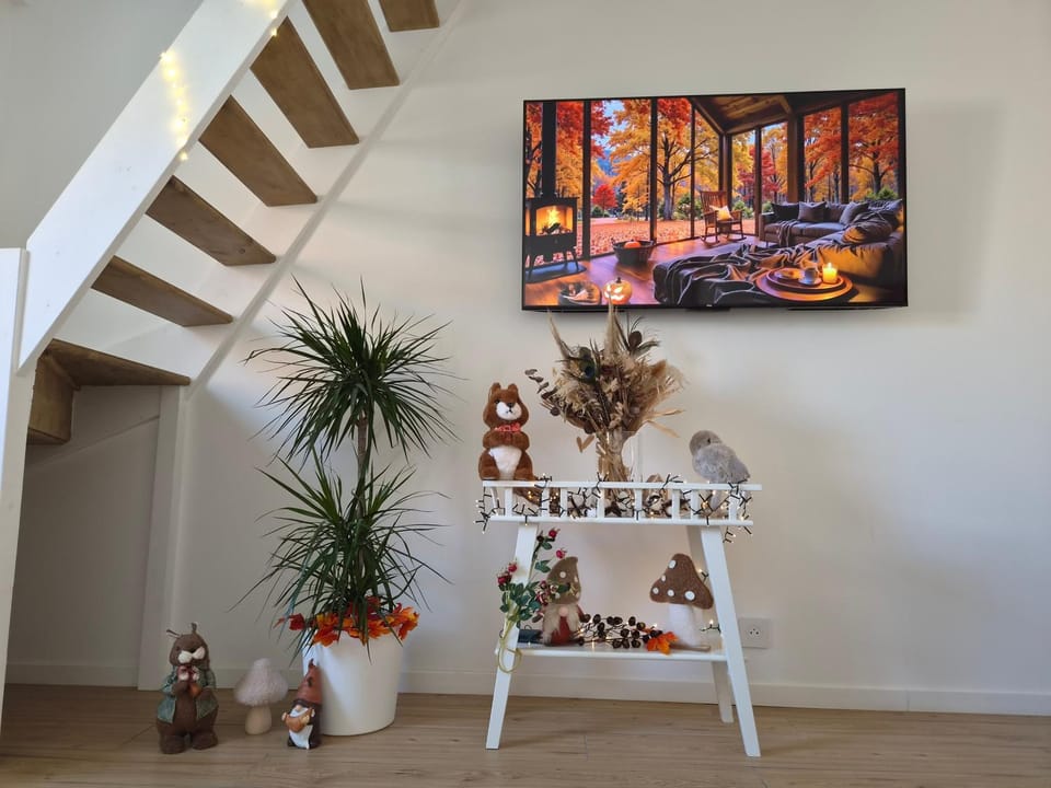 TV and multimedia, Decorative detail
