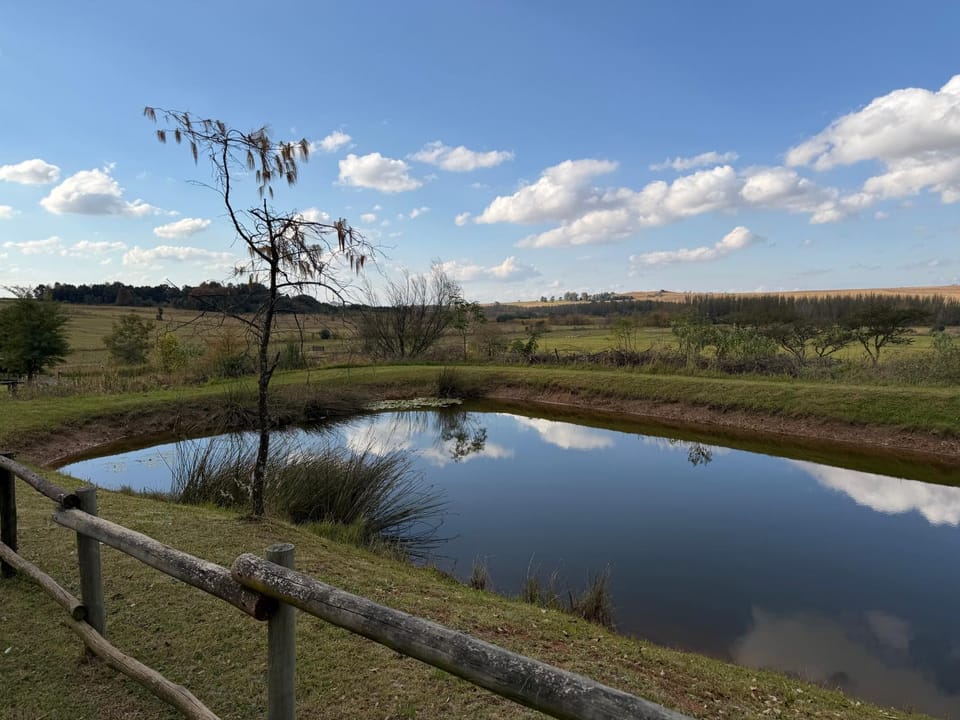 Lake view