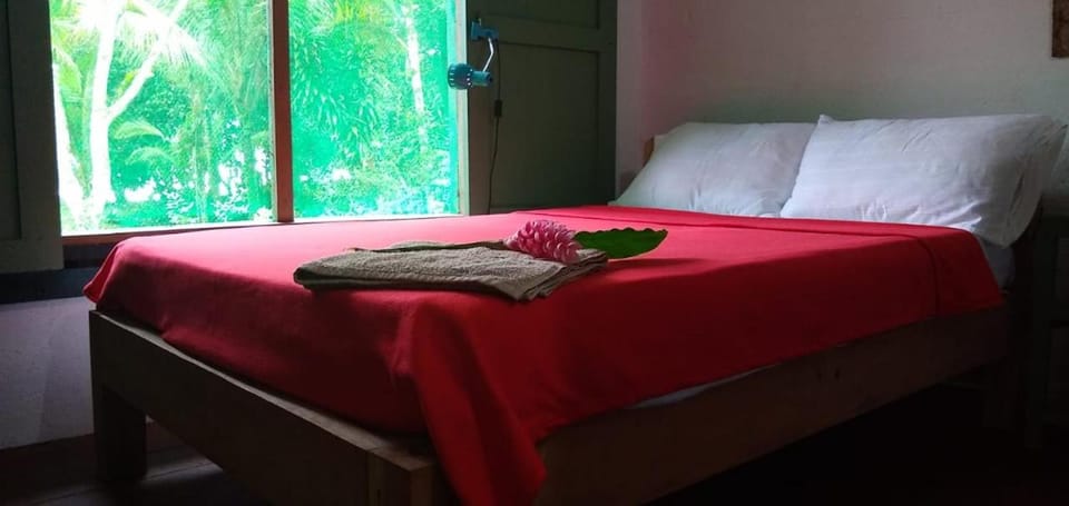 Casa Luz House in Choco, Colombia