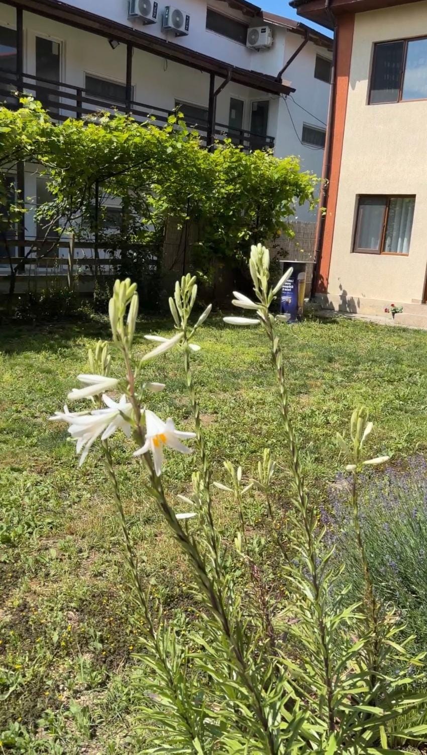 AndraȘtef Bed and Breakfast in Dobrich Province, Bulgaria