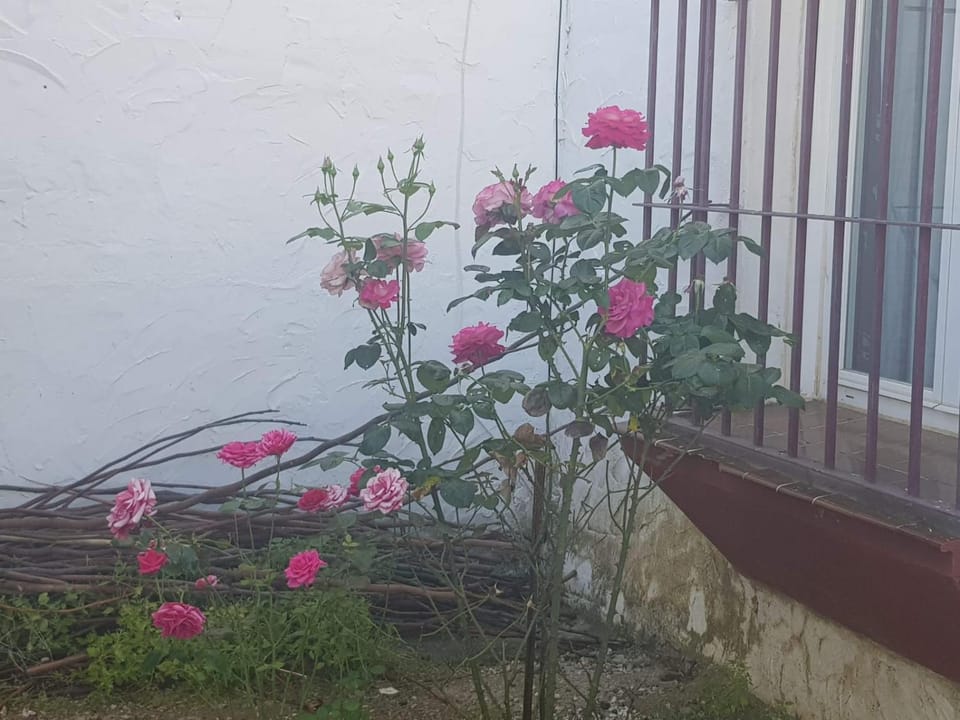 Sabor a pueblo House in Sierra Norte de Sevilla