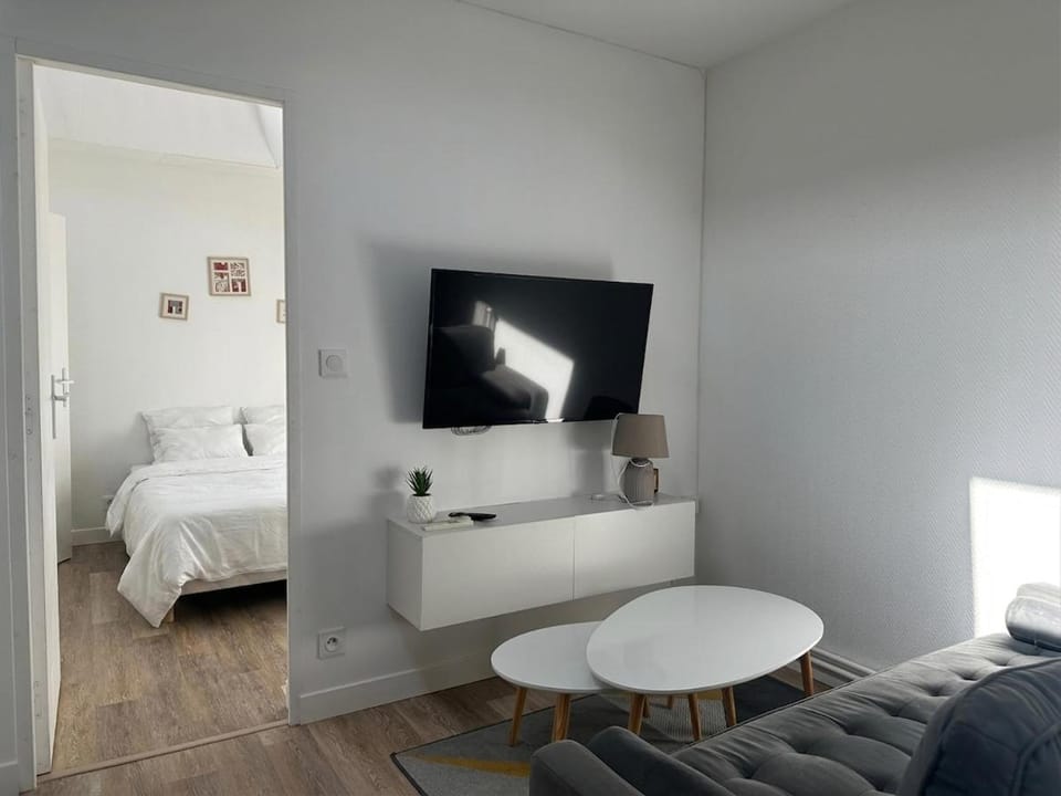 T1 bis Cosy - Puits de Lumière Proche Gare 24m2 Apartment in Le Mans