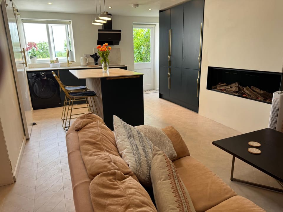 TV and multimedia, Kitchen or kitchenette, Living room, Seating area, Dining area, fireplace