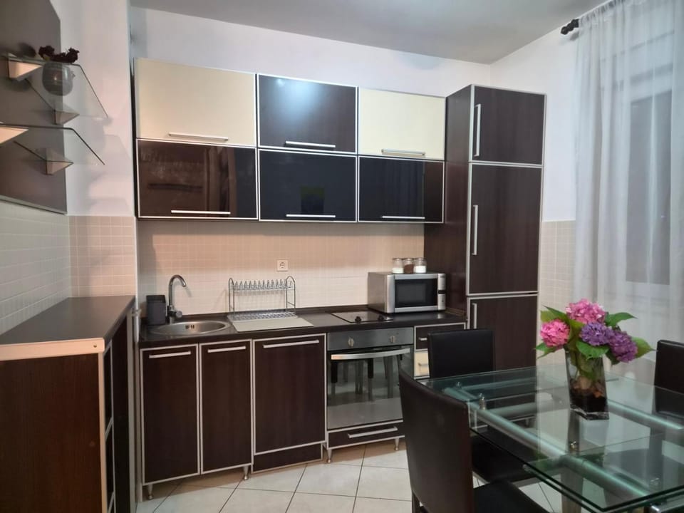 MILA studio apartment Apartment in Montenegro