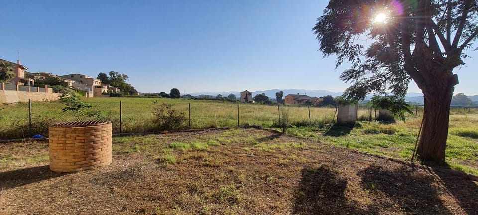 Natural landscape, Garden, Garden view