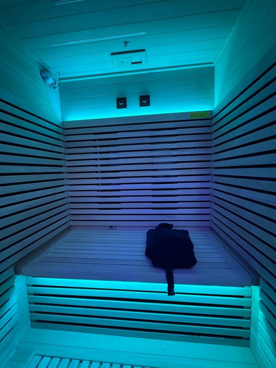 Hermitage Spa Apartment in Dijon