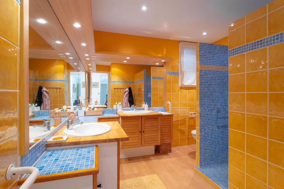 Lezard bleu Apartment in Vence