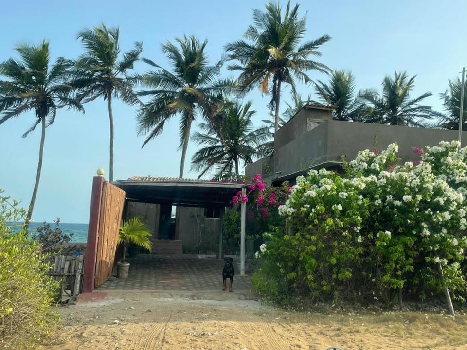 Shadamaltess House in Africa