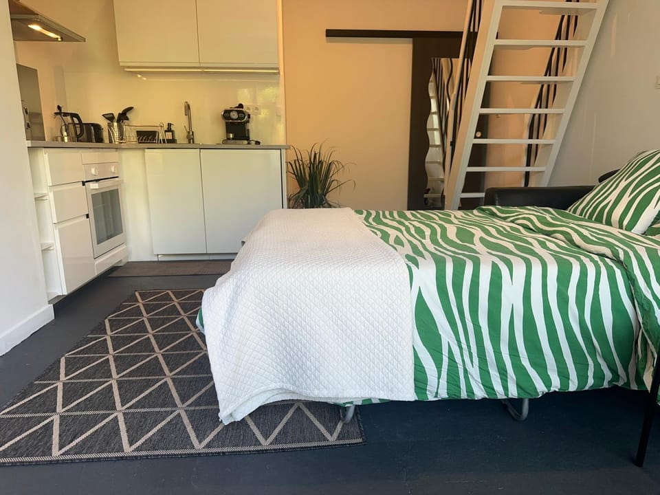 Bed, Kitchen or kitchenette, Photo of the whole room, Bedroom, stove