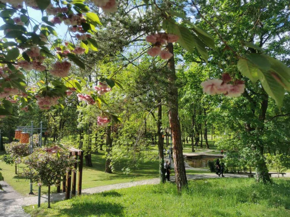 Bella Verde Apartment in Serbia