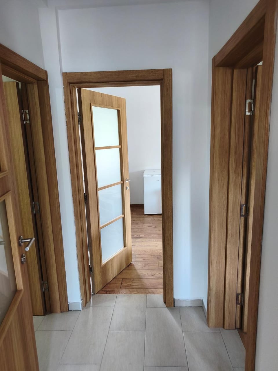 Apartman Jankovic Apartment in Montenegro