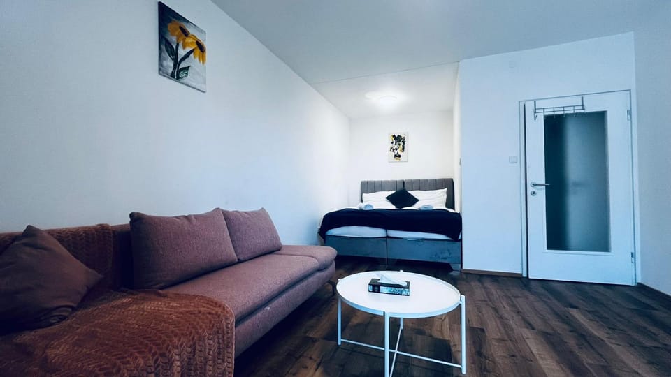 Studio Apartment at Train station and City center Apartment in Salzburg