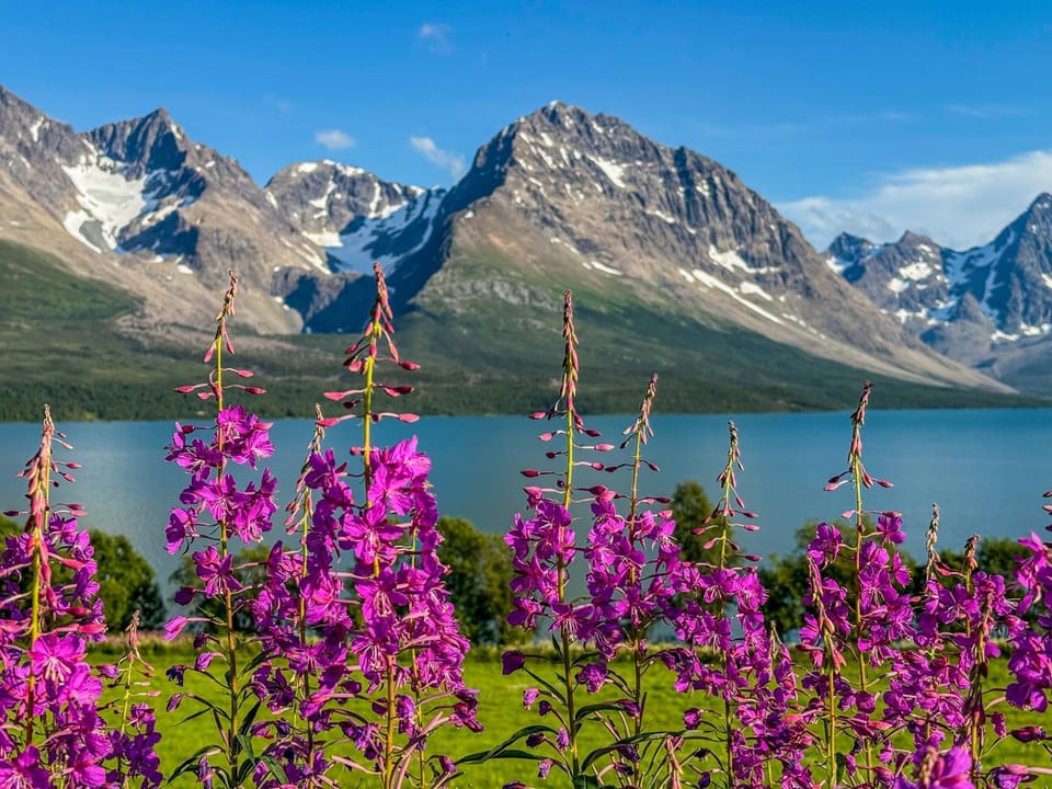 Lyngen Adventure Lodge Villa in Troms Og Finnmark