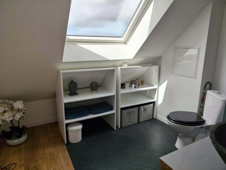 Toilet, Bathroom, Photo of the whole room, Bedroom