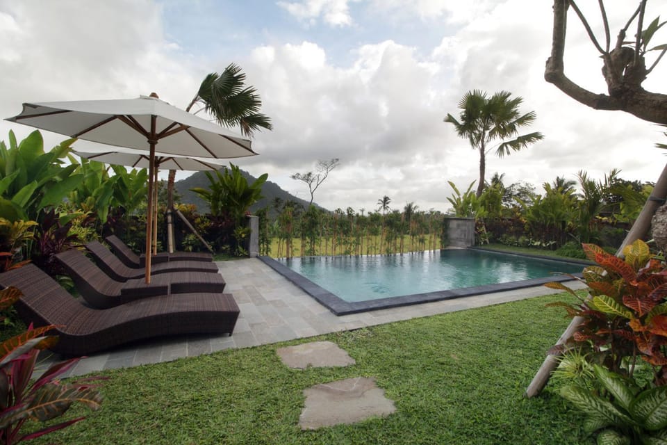 Garden view, Pool view, Swimming pool, sunbed