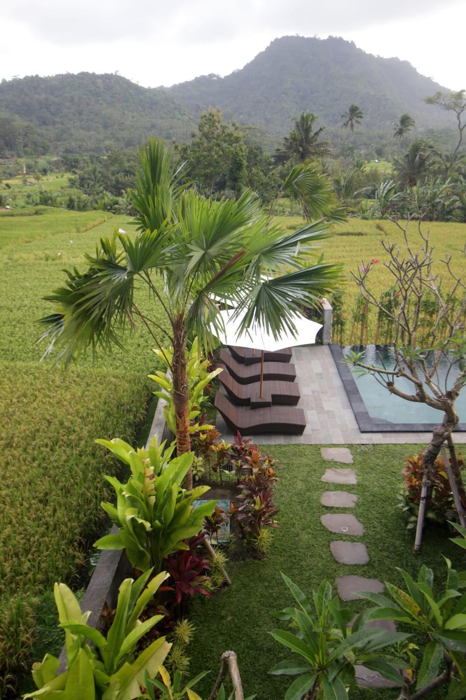 Garden view