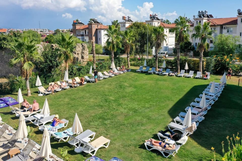Day, Natural landscape, Garden, sunbed