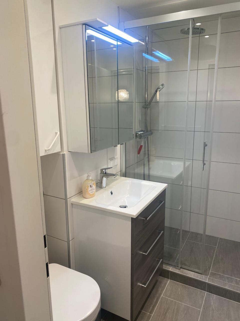 Seeappartement am Ossiacher See & Gerlitzen Apartment in Villach