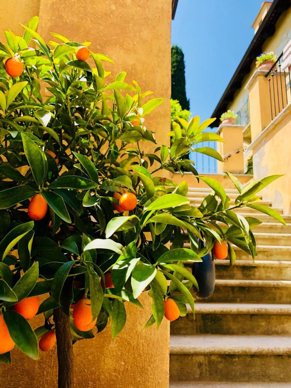 Villa Burzio 1899 Bed and Breakfast in Piedmont