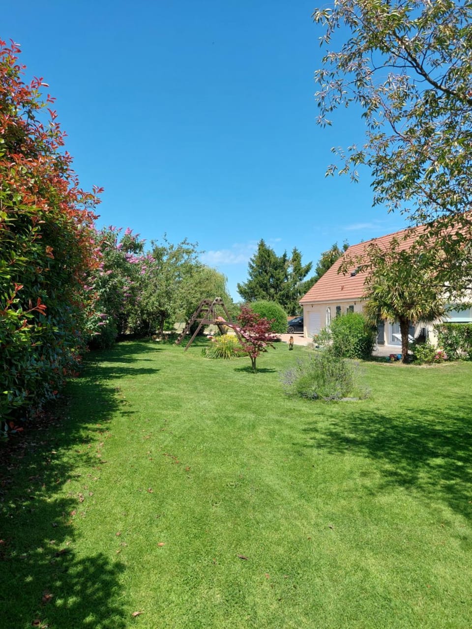 Garden view