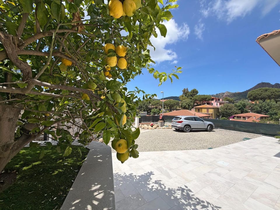 Day, Garden, Parking