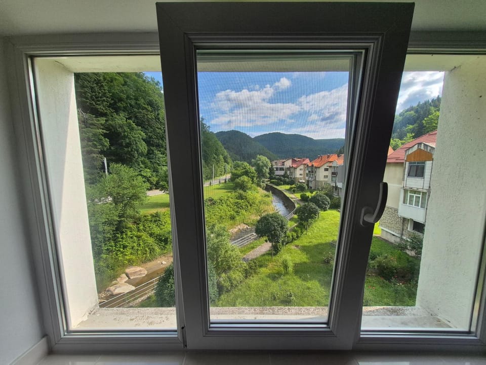 Apartament Salcia Slanic Moldova Apartment in Romania