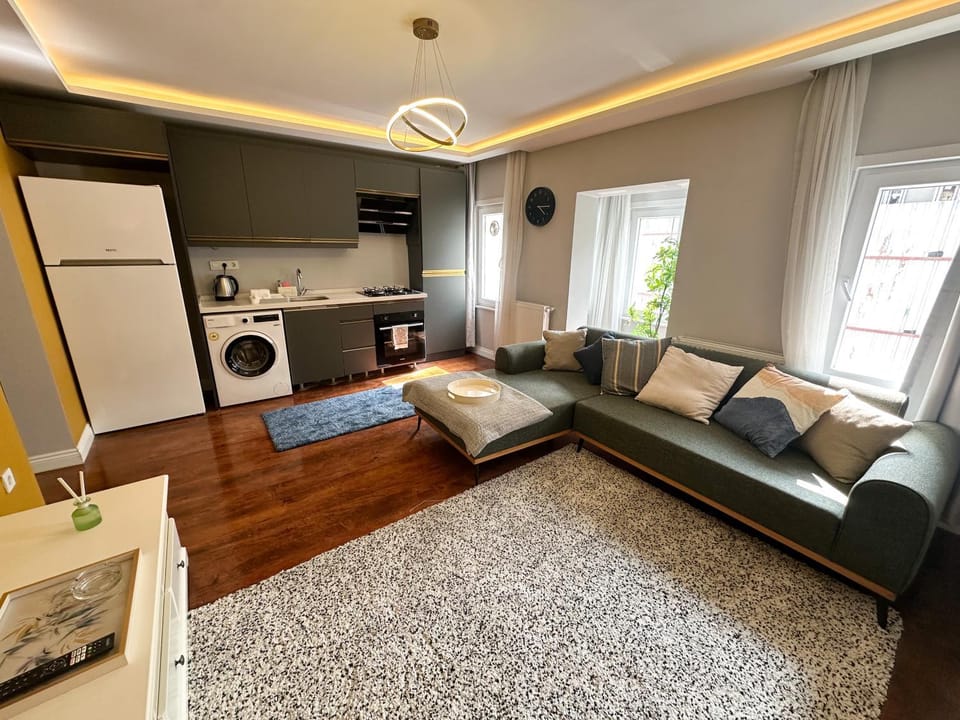 Coffee/tea facilities, Kitchen or kitchenette, Living room, Seating area, oven, stove, washing machine, kitchen