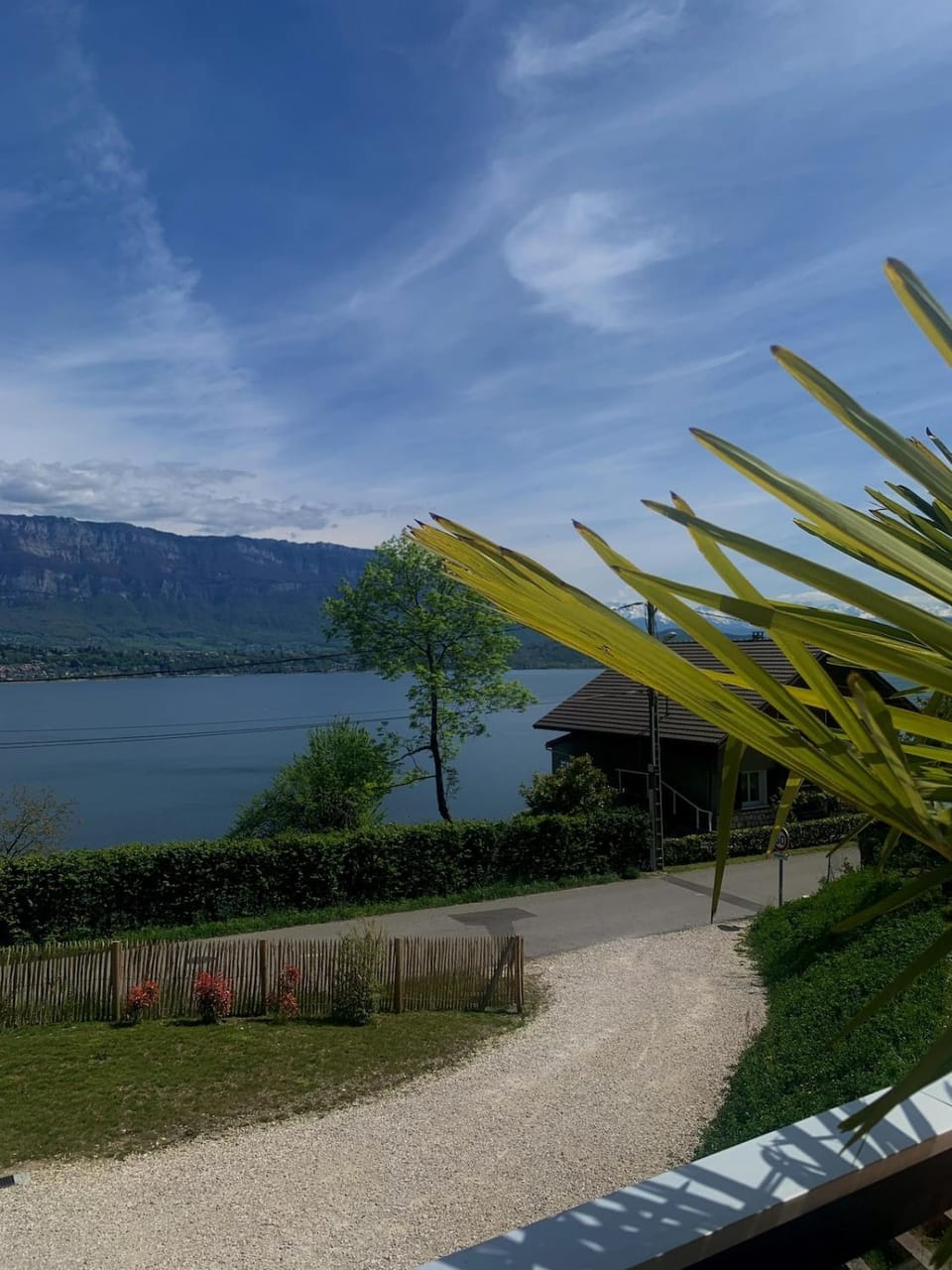 Lake view