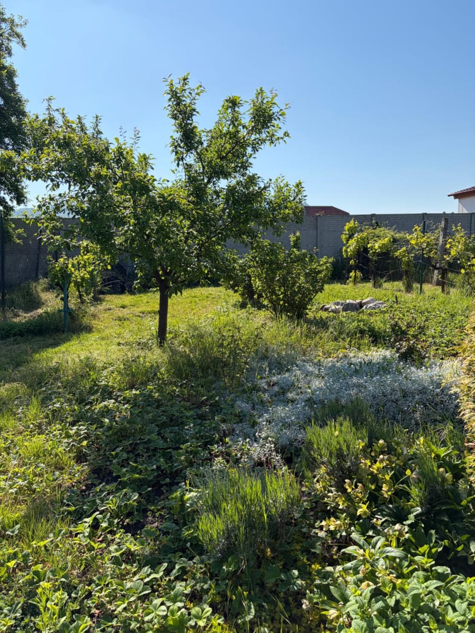 Domek u vína House in South Moravian Region