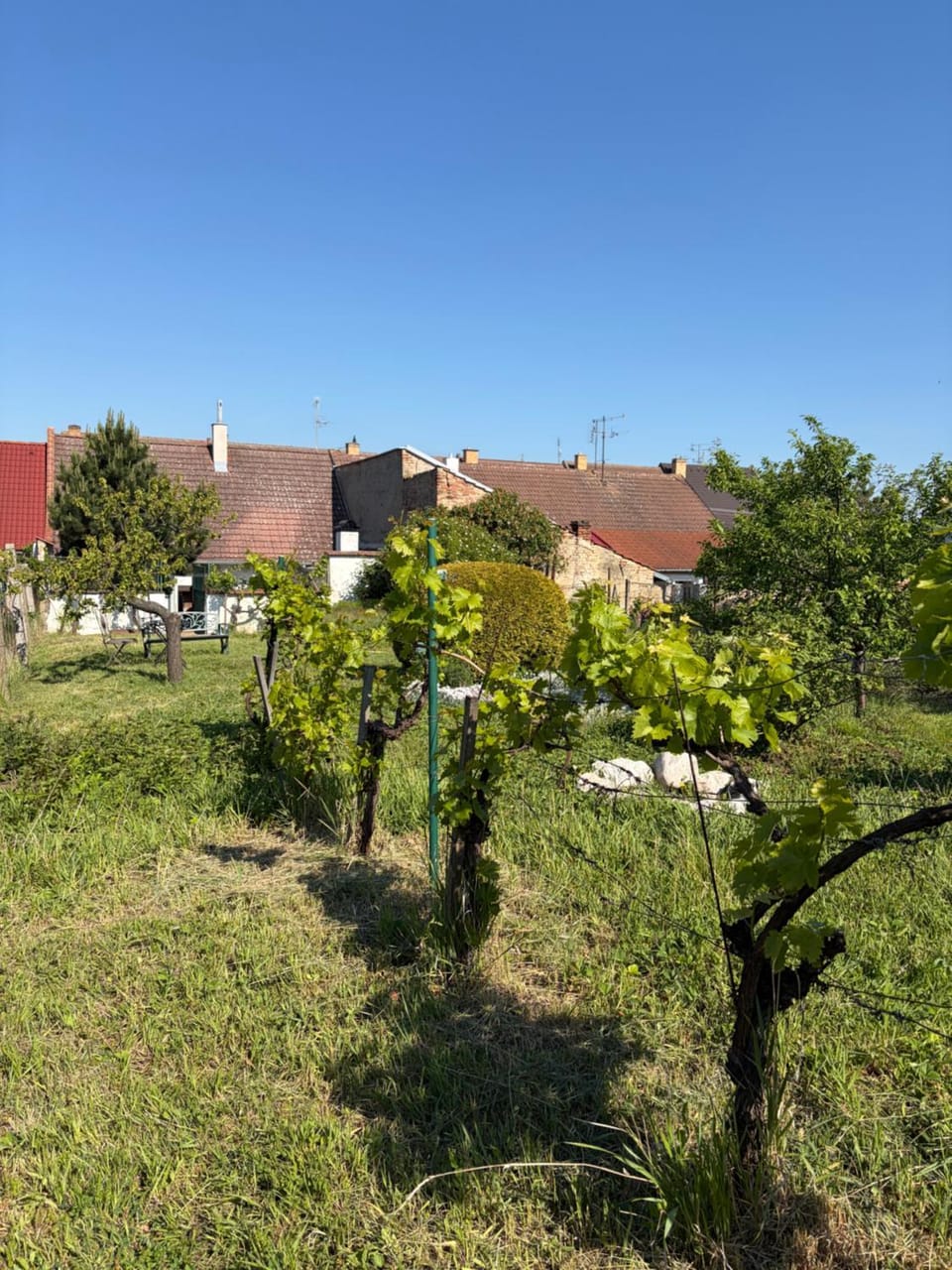 Domek u vína House in South Moravian Region