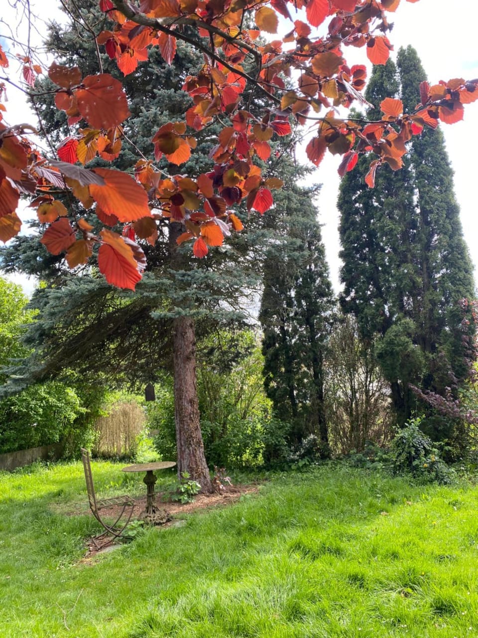 Garden, Garden view