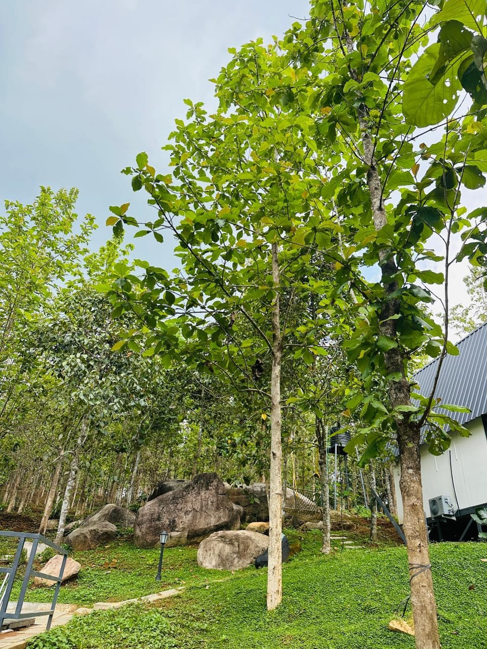 TeakNkoodu Apartment in Kerala