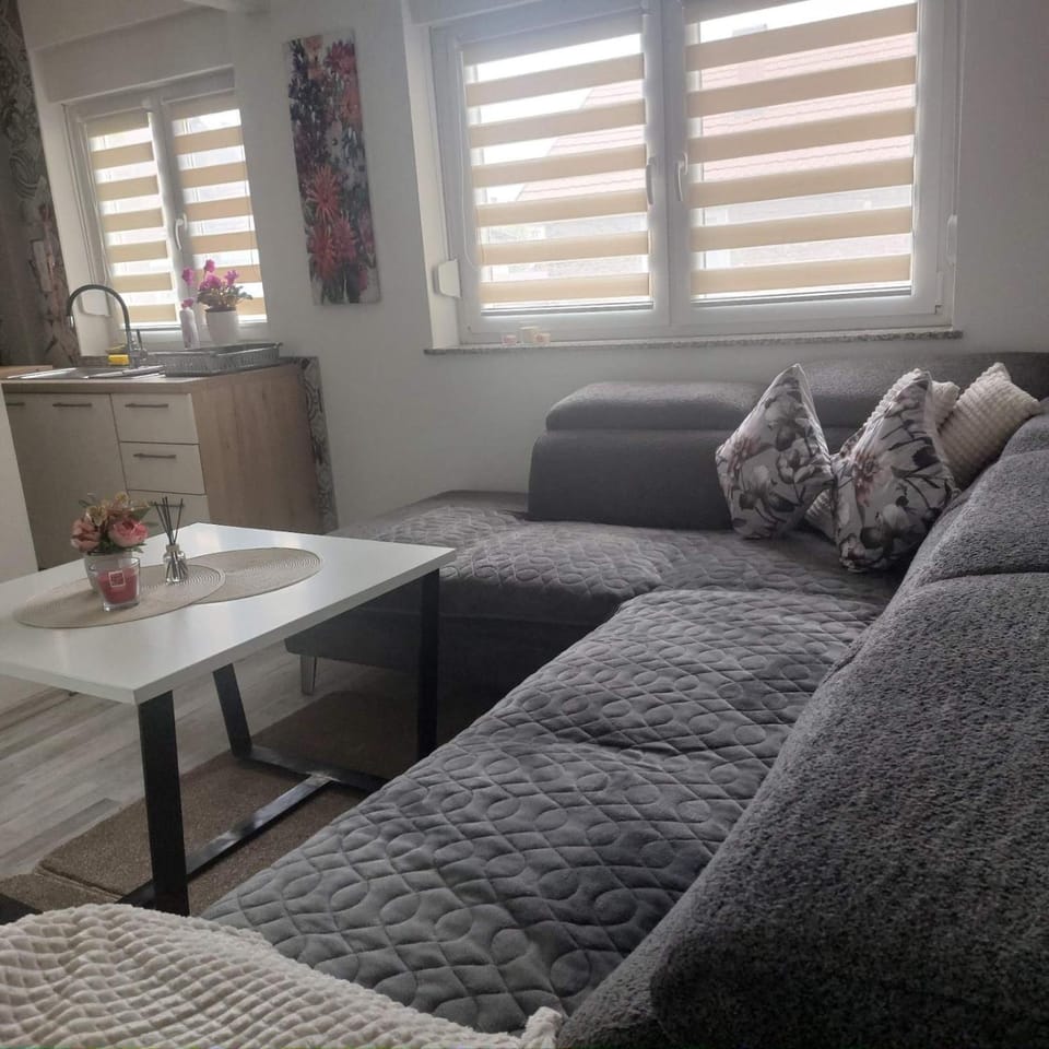 Apartman Sava Apartment in Brod-Posavina County, Croatia