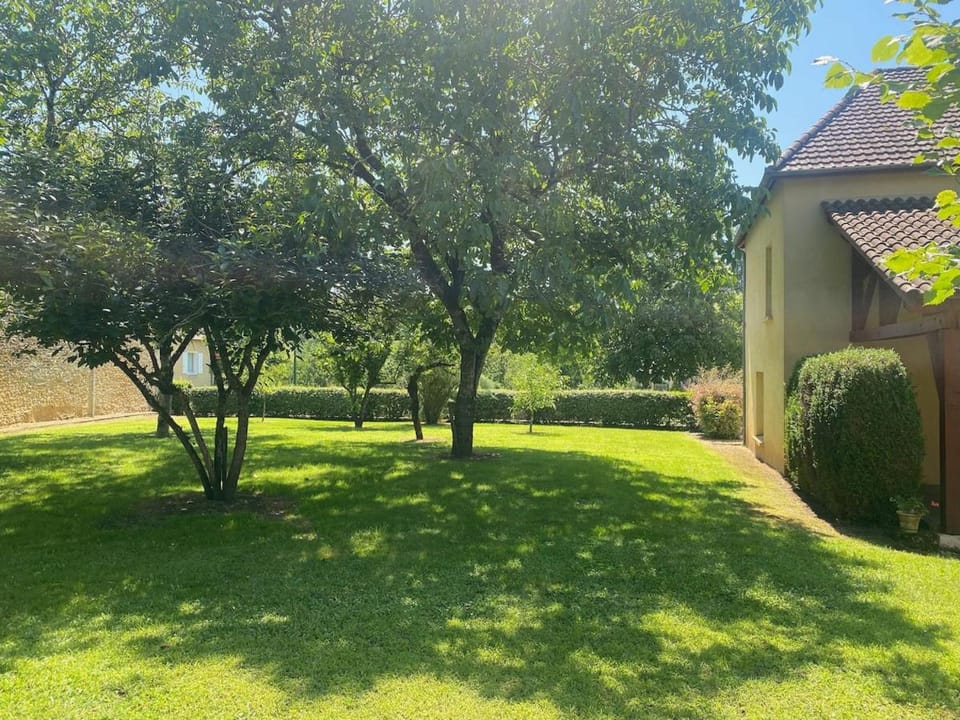 Garden, Garden, Garden view, Garden view