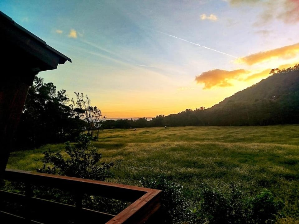 Garden view, Landmark view