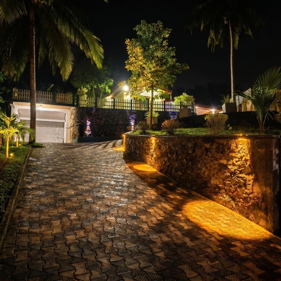 Night, Garden, Garden view